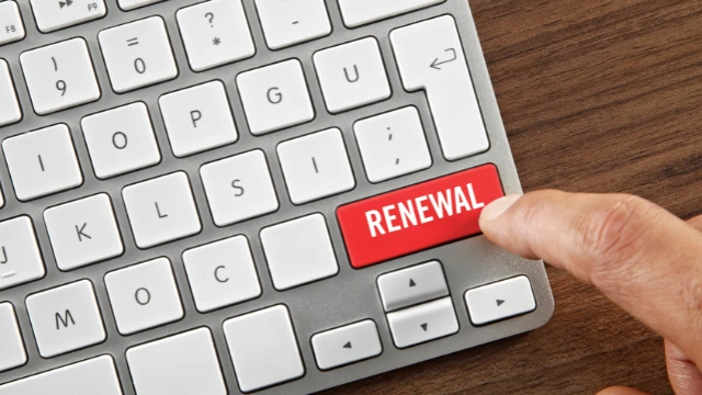 Kitchen Renewal: Your Guide to a Fresh New Look